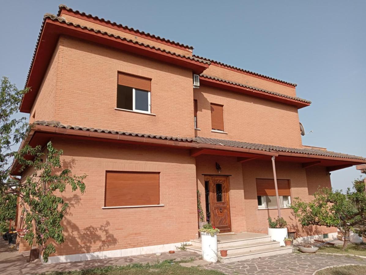 Da Piero E Gina Hotel Palidoro Kültér fotó
